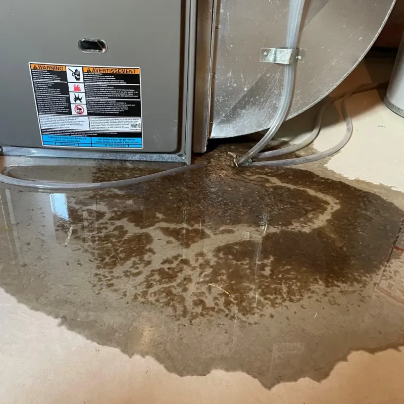 Appliance Leak Cleanup in Isla Vista, CA