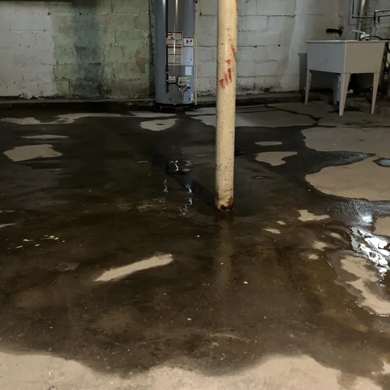 Emergency Water Extraction And Removal in Isla Vista, CA